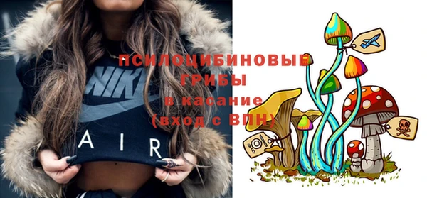 PSILOCYBIN Краснослободск