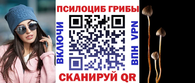 Галлюциногенные грибы GOLDEN TEACHER  Купить  Сим 