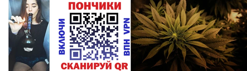 Бошки Шишки сатива  Купить  Сим 